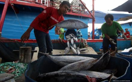 Jalin Kerja Sama, Perindo Akan Prioritaskan Hasil Laut dari UMKM Perikanan. (Foto: MNC Media)