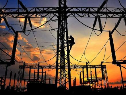 Dukung Kinerja Ekspor, PLN Fasilitasi Kebutuhan Listrik Perusahaan Porang di Riau (Dok.MNC)