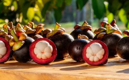 Intip Produk Indonesia yang Bakal Kepung Pasar Asing, Ada Manggis hingga Kopi (FOTO:MNC Media)
