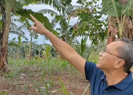 Ketua Umum Partai Amanat Nasional (PAN), Zulkifli Hasan, mengaku tertarik menjadi eksportir jengkol.  (Foto: MNC Media)