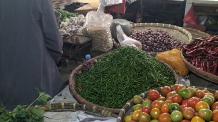 Mendag Sebut Harga Bapok di Medan Stabil Jelang Nataru (FOTO:MNC Media)