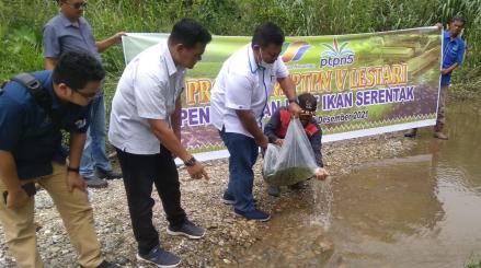 PT Perkebunan Nusantara (PTPN) V melakukan penebaran satu juta bibit atau anakan ikan di sungai-sungai yang ada Provinsi Riau.  (Foto: MNC Media)