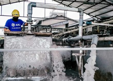 Naik 1.695 Persen, Austindo Nusantara Jaya Raih Laba Bersih USD39.7 di 2021 (Dok.MNC)