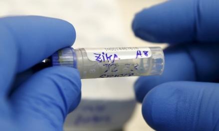 Dunia Waspada! Virus Zika Bisa Jadi Pandemi Usai Covid-19. (Foto: MNC Media)