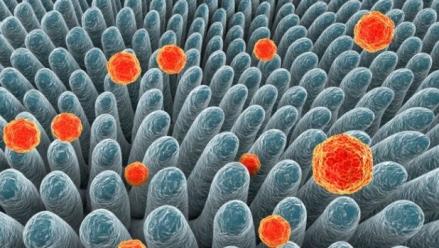Kemenkes Deteksi 70 Kasus Dugaan Hepatitis Akut. (Foto: MNC Media)