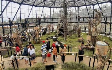 Cegah Penularan, Koleksi Satwa di Objek Wisata Lembang Park and Zoo Divaksin PMK (FOTO:MNC Media)