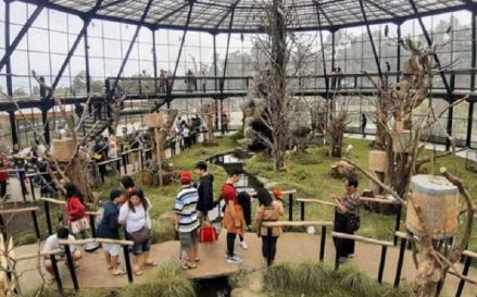Musim Liburan Sekolah, Pengunjung Lembang Park and Zoo Naik 70 Persen (Dok.Sindonews)
