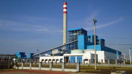 Berebut Bahan Baku dengan Pasar Internasional, PLN Kesulitan Kembangkan Biomassa