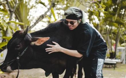 Daftar 5 Artis Kurban Sapi Jumbo di 2023, Mulai Bobot 1 Ton hingga Harga Ratusan Juta. (Foto: MNC Media)
