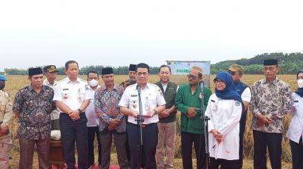 Wagub DKI Jakarta Pertimbangkan Banding Putusan PTUN Soal UMP 2022. (Foto: MNC Media)