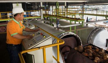 Tumbuh 72 Persen, Sumber Tani (STAA) Raup Pendapatan Rp2,97 Triliun hingga Triwulan III-2025 (foto: iNews Media Group)