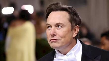 Elon Musk Pede Energi Matahari Dapat Penuhi Kebutuhan Listrik Dunia (FOTO:MNC Media)