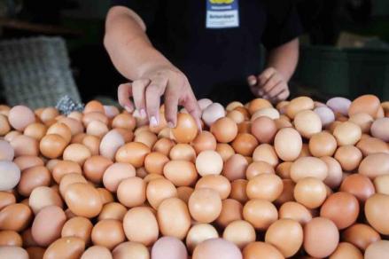 Harga Telur Ayam di Pasar Sindangkasih Majalengka Turun Rp1.000 (FOTO:MNC Media)