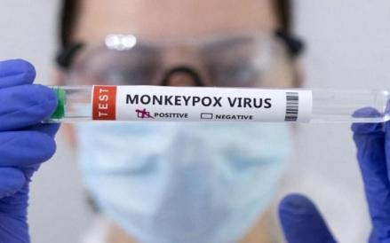 WHO Temukan Cacar Monyet Generasi Baru di Kongo, Bisa Jadi Epidemi Dunia. (Foto: MNC Media)