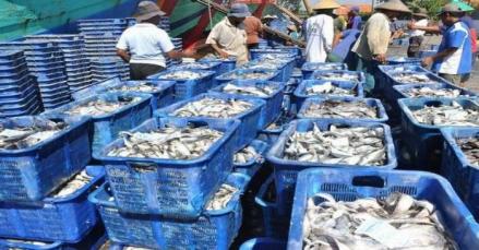 DPR Dorong Ikan Jadi Sumber Pangan untuk Antisipasi Ancaman Krisis Global. (Foto: MNC Media)