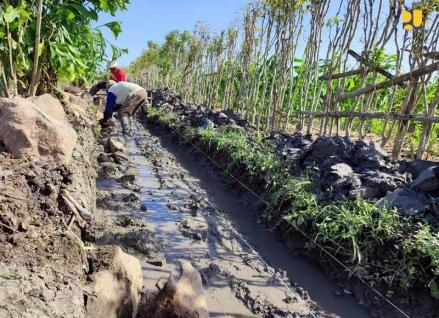 Realisasi Rp1,74 Triliun, Proyek Irigasi Pemerintah Serap 122 Ribu Pekerja (Foto: Kementerian PUPR)