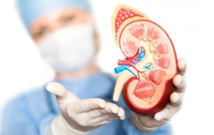 Bolehkah Mendonorkan Organ Tubuh dalam Islam? Ini Hukumnya (Foto: MNC Media)