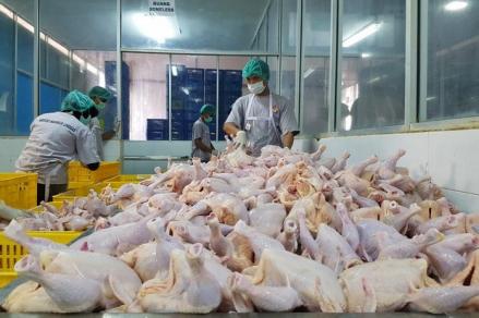 Penjualan Menurun, Laba DEWI Turun 32 Persen di Semester I-2024. (Foto: MNC Media)