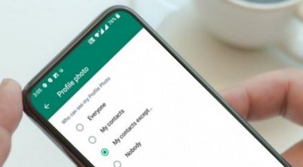 Anti Ribet, Begini Cara Melihat Status WA yang Diprivasi (Foto: MNC Media)