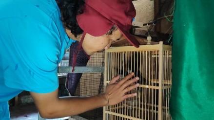 Terkena PHK, Pria Ini Banting Setir Budidayakan Burung dan Hasilkan Jutaan Rupiah. (Foto: MNC Media)