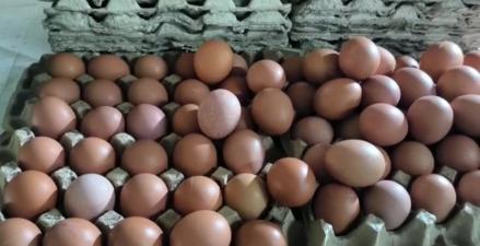 Hari Ketiga Ramadan, Harga Telur di Jakbar Tembus Rp31 Ribu per Kilogram (FOTO:MNC Media)
