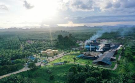 Melejit 56 Persen, Pendapatan Eagle High (BWPT) Capai Rp4,6 Triliun di 2022 (FOTO:Dok Ist)