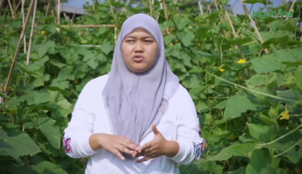 Sarjana Ilmu Komputer Otodidak Bertani Timun Organik, Serok Cuan Rp85 Juta Sekali Panen