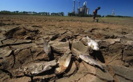 Antisipasi Ancaman El Nino, Bappanas Kembangkan Agribisnis Sorgum Terintegrasi. (Foto: MNC Media)