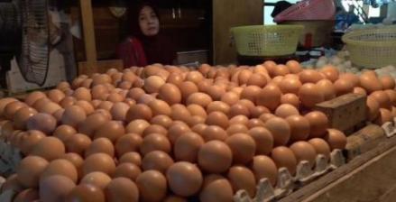 Bapanas Beberkan Penyebab Harga Telur Naik hingga Rp31.276 per Kilogram (FOTO:MNC Media)