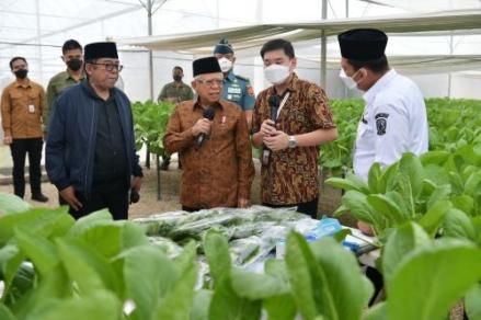 Wapres Ajak Petani Ambil Peluang Ekspor Sayuran ke Singapura. Foto: MNC Media.