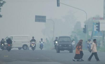 Paparan Kabut Asap Bisa Berbuntut pada Pneumonia, Begini Penjelasan Dokter Paru. (Foto: Istimewa)