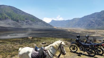 Butuh Waktu Lima Tahun Pulihkan Ekosistem Gunung Bromo Pasca Kebakaran. (Foto Avirista M/MPI)