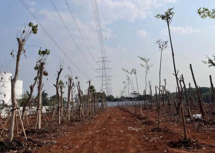Jakarta Estate (JIEP) Berhasil Kembalikan Fungsi Hutan Kota di Kawasan Industri Pulogadung (FOTO:Dok Ist)