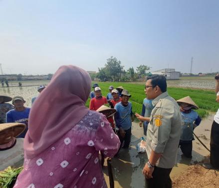 Ini Strategi Plt Mentan agar RI Tak Perlu Impor Beras di 2024. Foto: MNC Media.