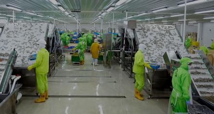 AS Turunkan Tarif Anti Dumping Ekspor Udang RI usai Tudingan soal Subsidi Tidak Terbukti (Foto: MNC Media)