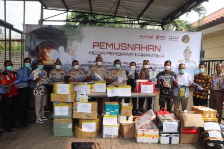 Badan Karantina Musnahkan 20 Ribu Bibit Pisang Terpapar Penyakit Berbahaya. (Foto: MNC Media)