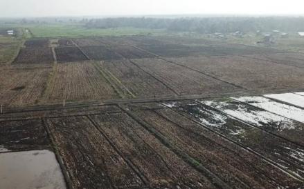 Nusron Wahid Sebut Sebagian Besar Tanah di Indonesia Masih Dikuasai Kelompok Tertentu (FOTO:iNews Media Group)