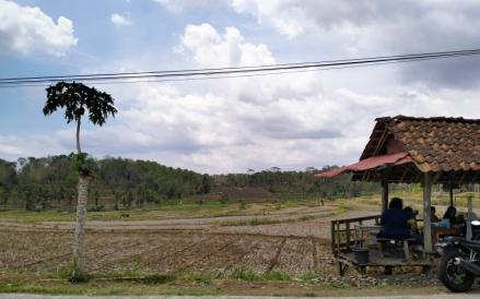 Nusron Wahid Sebut Setiap Sengketa Lahan Pasti Libatkan Oknum Internal BPN (FOTO:MNC Media)