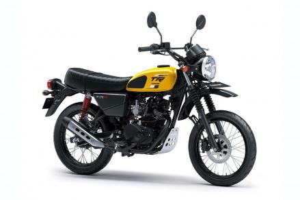 Hadirkan Nuansa Retro, Kawasaki W175TR Dijual Seharga Rp34,3 Juta. Foto: MNC Media.