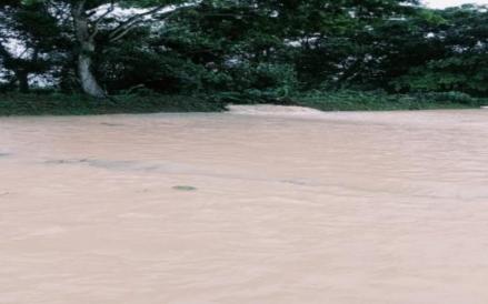 Tanggul Cilatak di Kampung Pamatangsalam, Desa Mekarsari, Kecamatan Panimbang, Kabupaten Pandeglang, jebol. (Istimewa)