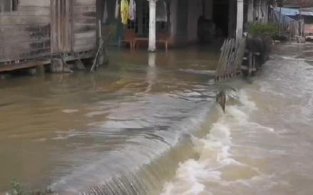 Banjir Terjang Lebak Banten, 158 Rumah di Dua Kecamatan Terendam Air  (FOTO:MNC Media)