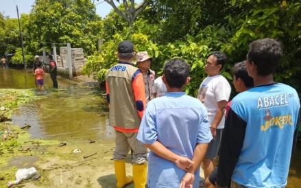 Banjir menerjang wilayah Kabupaten Demak dan Kudus, Jateng (MNC Media)