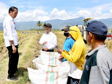 Tinjau Langsung Panen Raya di Sigi Sulteng, Jokowi: Hasilnya Bagus (foto ist)