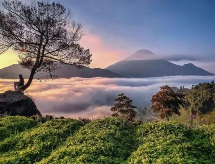 Ini Enam Destinasi Wisata di Wonosobo yang Wajib Dikunjungi saat Mudik Lebaran (FOTO:MNC Media)