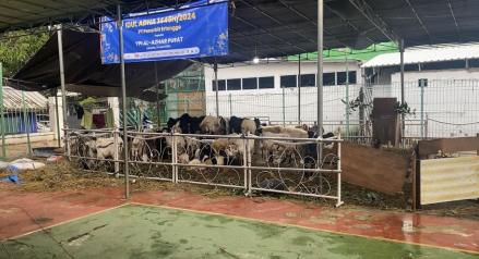 Dampak Ekonomi dari Berkurban Idul Adha 2024 Lebih dari Rp200 Triliun (FOTO:MNC Media)