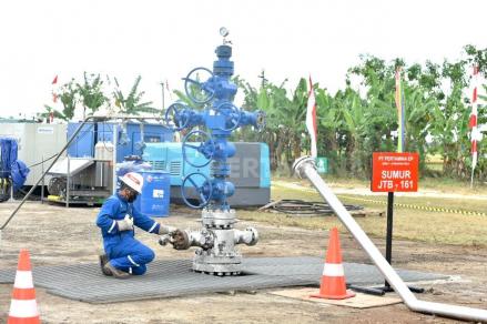 Tangkap Peluang Ekonomi, Pemerintah Diminta Perluas Cakupan Aturan CCS