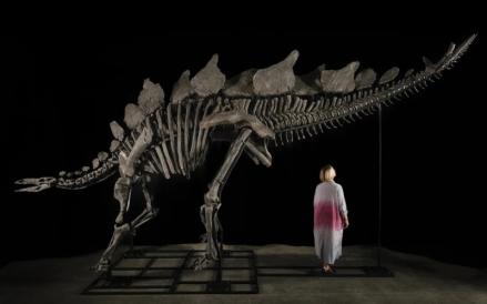 Rekor, Miliarder Ini Beli Fosil Dinosaurus Rp718 Miliar