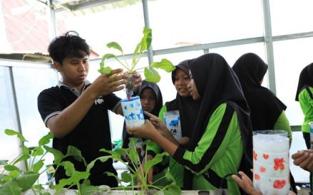 Peringati Hari Anak Nasional, BRI Ajak Anak SD Belajar Tanam Hidroponik. (Foto: Ist)