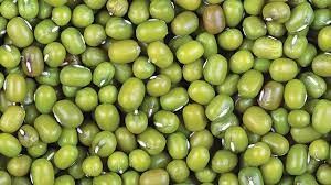 Kisah Sukses Pengusaha Makanan Ringan, Jadi Pelopor Snack Kacang Hijau di Indonesia. (Foto: Dinas Pertanian Kulon Progo)