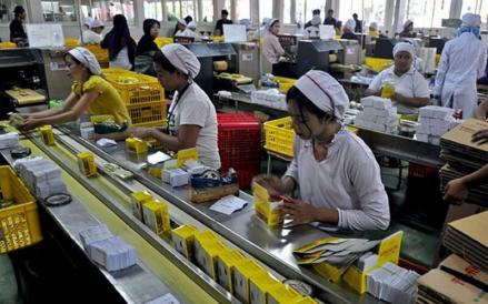 SIDO memperpanjang masa pembelian kembali (buyback) saham hingga tiga bulan ke depan, yakni 23 Desember 2025. (Foto: Dok. Sido Muncul)